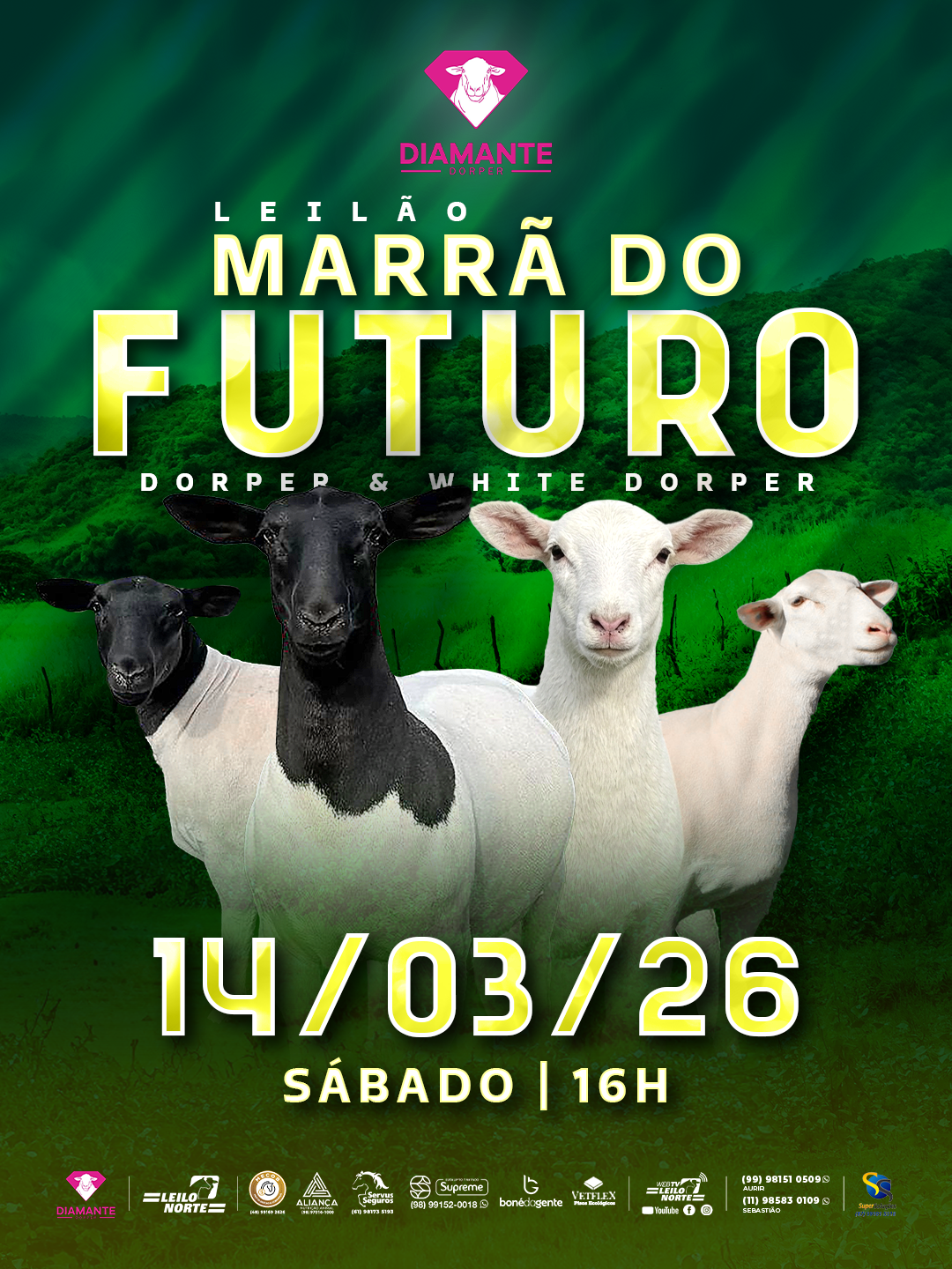Marra do Futuro